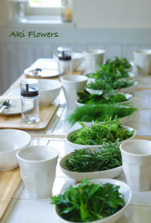 Herb and Aroma Course Basic