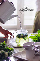 basic_herb_2026_mini