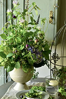 online_eng_garden_2026_mini