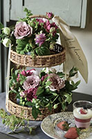 online_teastand_2026_mini