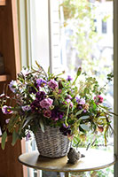 premium_monet_2026_2_mini